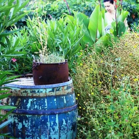 Stone House Garden Retreat By The Sea