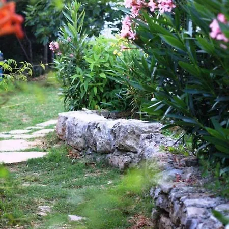 Stone House Garden Retreat By The Sea Preko