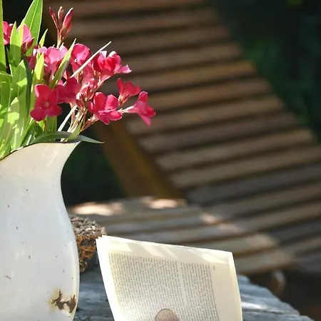 Stone House Garden Retreat By The Sea * Preko