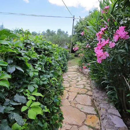 Holiday home Stonehouse By The Sea Zmorac *